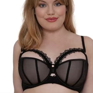 Curvy Kate/Scantily Vamp bra in black (sheer)
